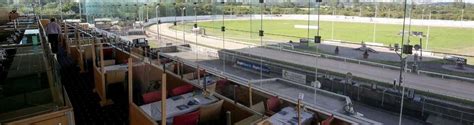 Go Greyhound Racing at Curraheen Park Cork .